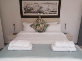 Pet Friendly Bartholomeus Diaz beach